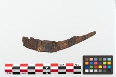Foto von Eisengriffangelmesser (NHMW-PRAE-078084)